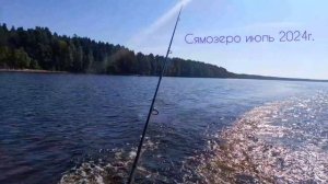 Озеро Сямозеро. Лето 2024г