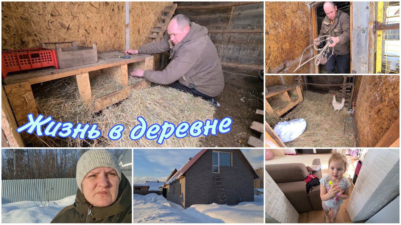Курам сделали Комфортные условия.  Одна курица обезножила. Жизнь в деревне