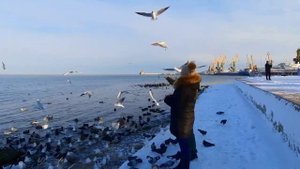 Феодосия 2021. Зима в Крыму. Не часто увидишь такую Феодосию! Набережная.