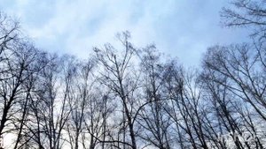 Сильный  ветер.