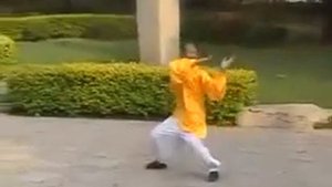 Редкий стиль фэнхуан цюань (鳳凰拳) или "Кулак феникса".