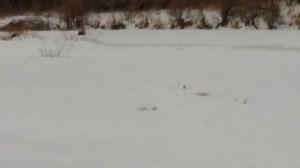 САМОДЕЛЬНАЯ АЭРОЛОДКА, ОБЗОР НА АЭРОЛОДКУ