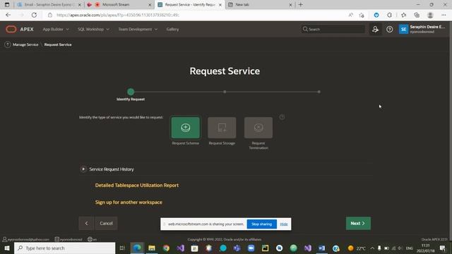 Schemas requests in Oracle Apex (C2) смотреть онлайн