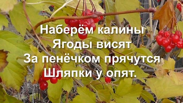 Осень в лесу Детская песенка смотреть онлайн