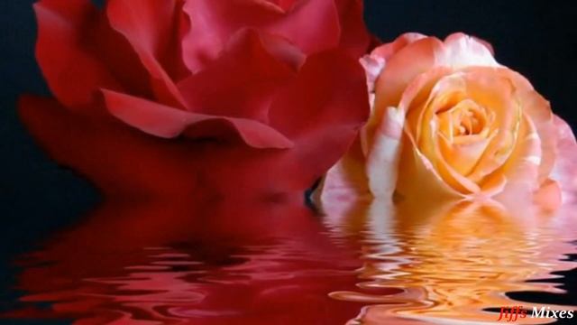 Gipsy - Allegria | Jiffs Mixes Dance смотреть онлайн