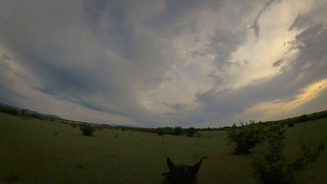 Поездка на лошадях - Дагестан, Хасавюрт смотреть онлайн