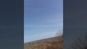 Батальон АЛГА, Татарстан. Казань, Альметьевск, Нижнекамск, Набере жные-Челны, Менделеевск, Буинск.