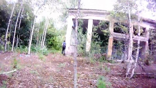 Сталк: ДО 