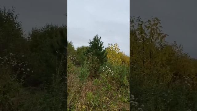 Престольный праздник нашего храма в честь Архангела Михаила и всех небесных сил. смотреть онлайн