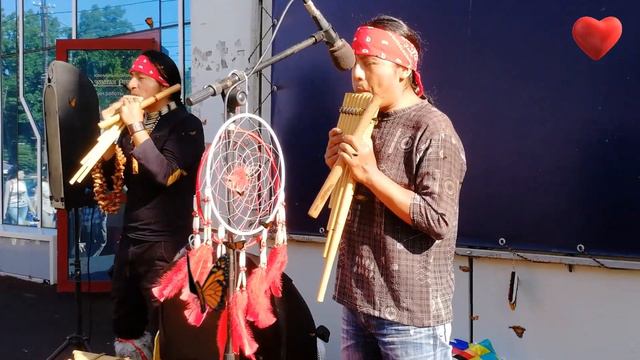 "Amigos", версия с бабочками (con mariposas), 🦋🦋🦋. Yarik Ecuador. смотреть онлайн