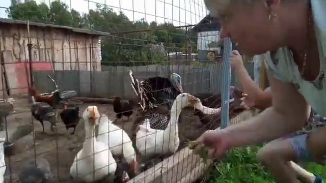 Русское ранчо/едем в гости