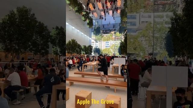 Apple the grove store #Shorts