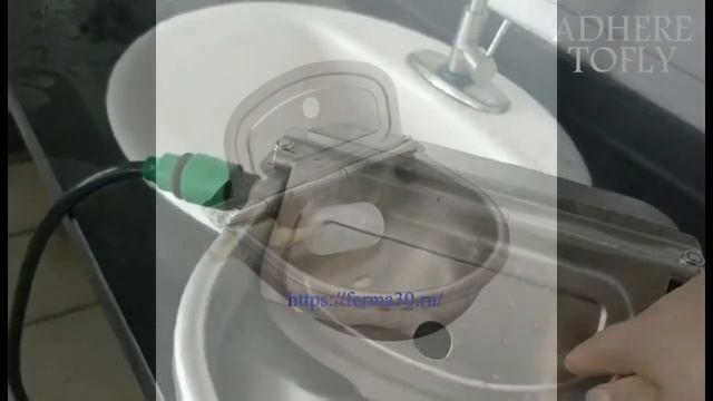 Автоматическая поилка для коров овец собак нержавеющая сталь смотреть онлайн