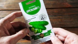 Семена огурца Апрельский Музей семян ??? Первый салатный огурчик!