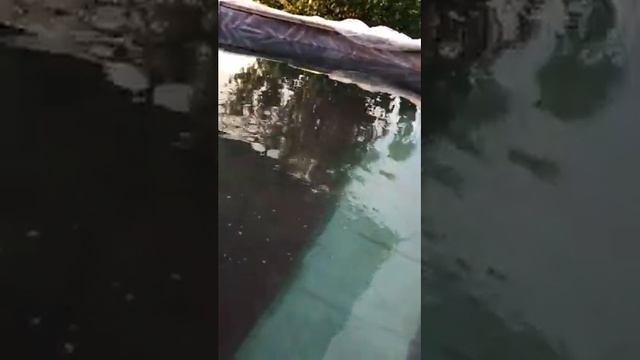 обработка бассейна от насекомых,водорослей,дезинфекция.чем лучше обработать ваш бассейн смотреть онлайн