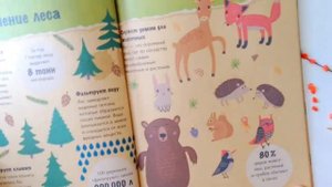 НОВИНКА от издательства Ранок  Экокнига 'Спасти лес'