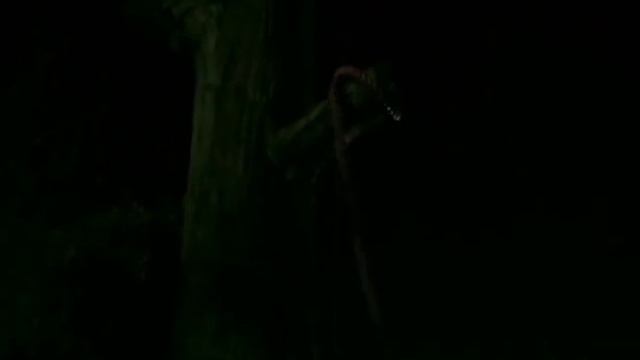 Опасный круиз Ужасы смотреть онлайн