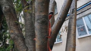 Мурманск — туризм среди панелек и промзоны