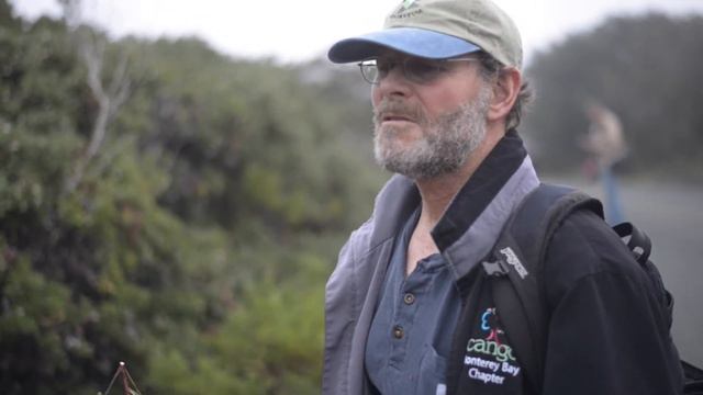 Maritime Chaparral смотреть онлайн