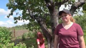 Настя написала заявление на пособие . Кеша заболел. Закручиваем огурцы.5.06.23.