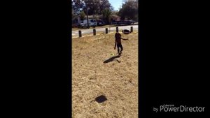 Rudolph Ingram Aka Blaze Off-season Training