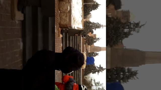 Школа 48 на посту это наша школа пост 1 смотреть онлайн