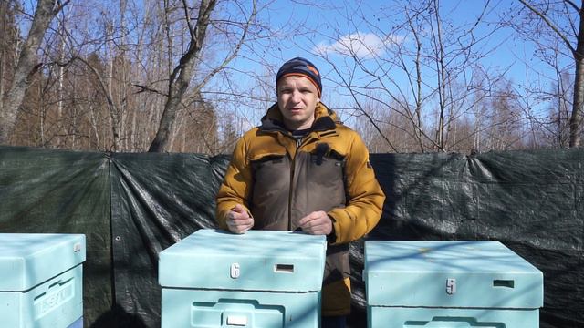 ВАЖНО сохранить пчёл весной. смотреть онлайн