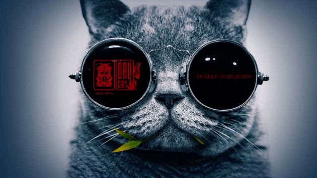 04 Verdant Message - Чайная Церемония - Да Хун Пао - Чай - Улун смотреть онлайн