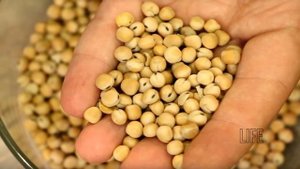 С этой прикормкой ты заберешь всего карася с водоёма! Как приготовить прикормку для карася?