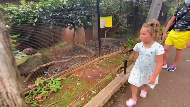 СКОЛЬКО СТОИТ ОТДЫХ НА ГАВАЙЯХ!?? смотреть онлайн