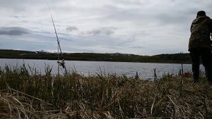 Рыбалка на Дальнем Востоке. На  р.Хадя. Ну очень большая дальневосточная красноперка.