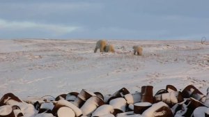 Остров Котельный