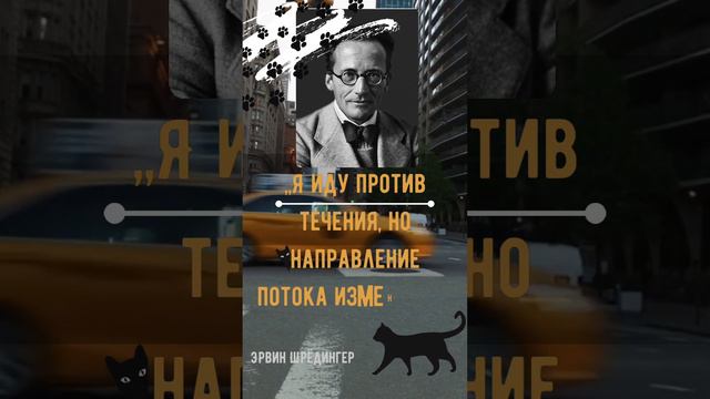 мысли известных людей: Эрвин Шрёдингер