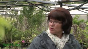 ВЫРАЩИВАЕМ КЛЮКВУ, ГОЛУБИКУ, БРУСНИКУ