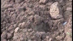 Осенняя обработка почвы.