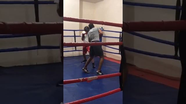 Антонян Тигран спарринг смотреть онлайн