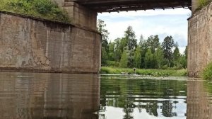 #сегодня в поселке Сиверский на реке Оредеж. Пляж, радиация, осы и сапы #невероятно #красиво