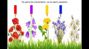 Логопедическое занятие "Цветы" 2 часть для детей 4-5 лет