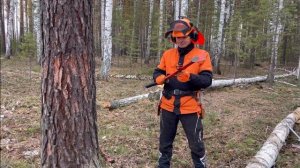 Что взять с собой в лес, приспособления для валки деревьев STIHL