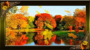 Танец желтых листьев