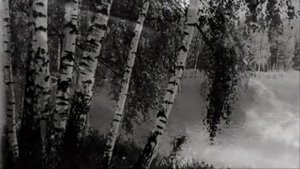 Чёрный ворон кружит...