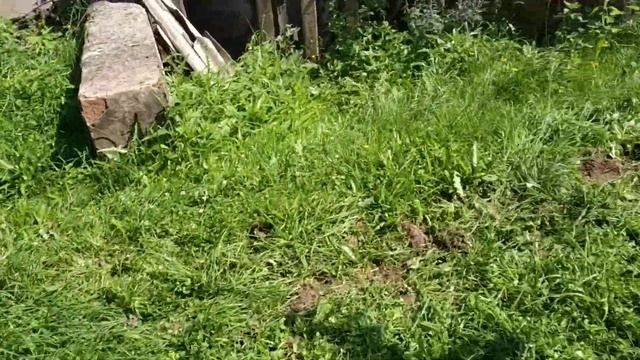 Ливневка 01 смотреть онлайн