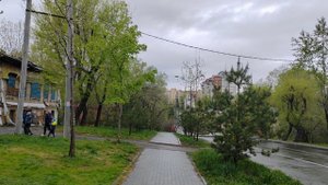 279. г. Хабаровск. Центральный район. 12.05.24.