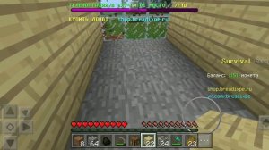 Играю в Майнкрафт на сервере