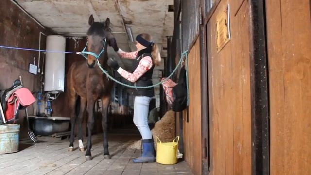 Чистка и стрижка Гэтсби//28 мая 2018 смотреть онлайн