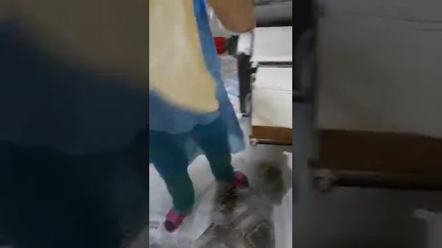 WhatsApp Video 2018 01 15 at 23 05 57 смотреть онлайн