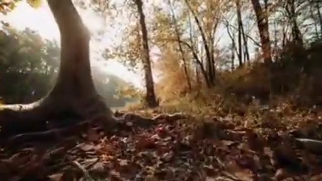 #музыка#лучшее видео#красота природы Красота природы смотреть онлайн