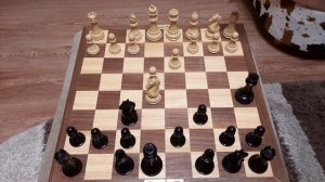 Шахматы. Ловушка за 5 ходов. Полезная ловушка для начинающих. Ферзь ловит коня.