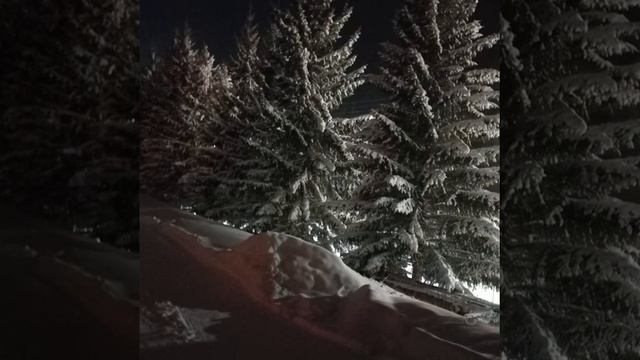 Все спешат, все бегут - от мороза в уют, только два чудака всё бредут ...