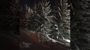 Все спешат, все бегут - от мороза в уют, только два чудака всё бредут ...